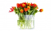 A Large Bouquet of Tulips