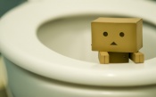 Danboard in the Toilet