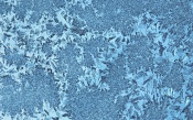 Frozen Pattern