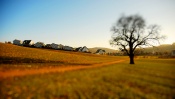 Autumn Field, tilt shift