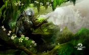 Guild Wars 2 - Beauty