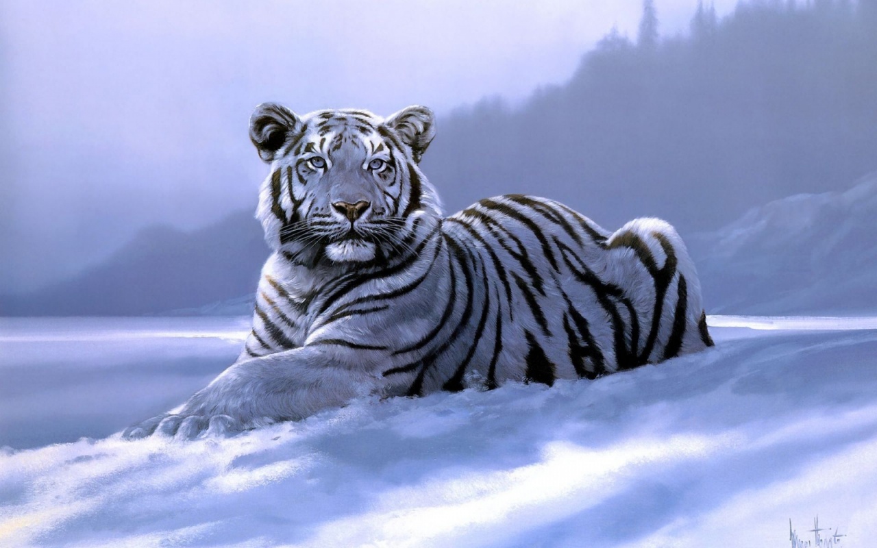 Snow Tiger