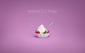 Android 2.2 Froyo