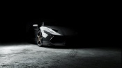 Lamborghini Lurking in The Shadows