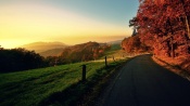 An Autumn Road