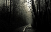 Greg Martin Creepy Dark Fog Forests