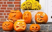 Funny Halloween Pumpkins