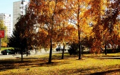 Autumn in the City