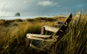 Wooden Chairs on the Coast