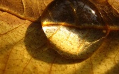 Big Water Drop macro