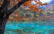 Blue Lake in Mountains, Autumn