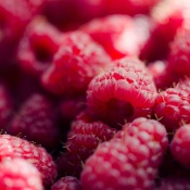 Fragrant Raspberries