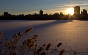 Sunrise in Central Park