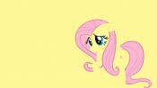 Fluttershy