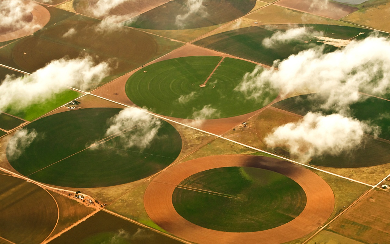 Bird's-Eye Geometry