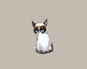 Grumpy Cat