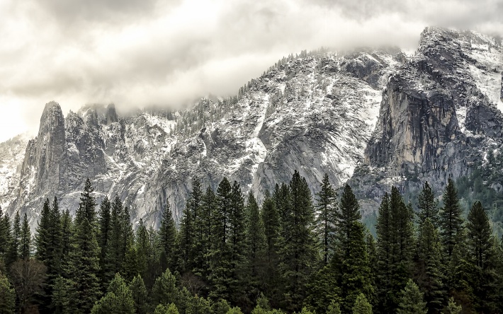 Yosemite National Park - Sentinel Spirits