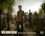 The Walking Dead Returns, AMC