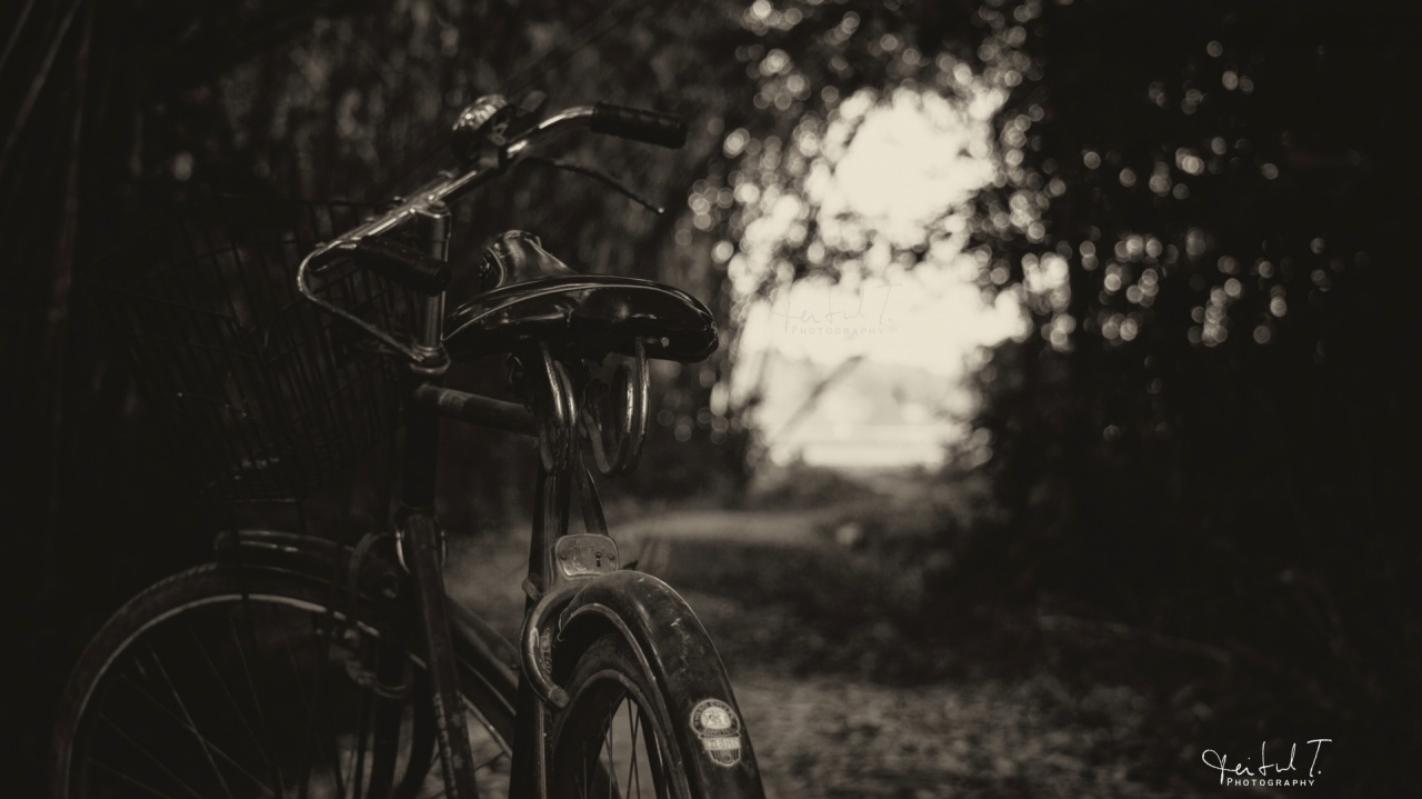 The Bicycle Black and White