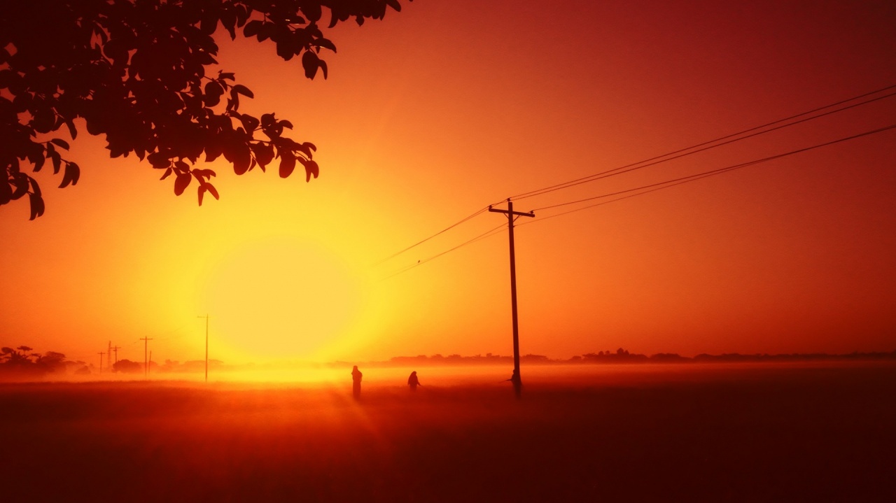 Winter Orange Sunrise