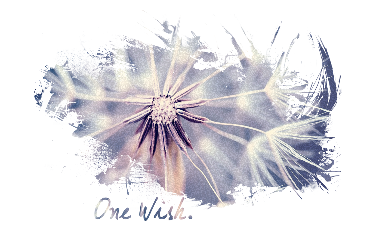 One Wish Painting