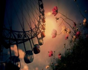 Ferris Wheel, Sun and Flowers